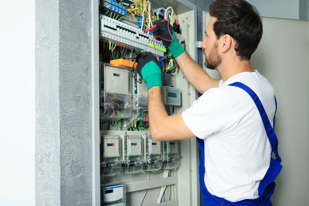 Best Ceiling Fan Installation Electrician  in Hazel Park, MI